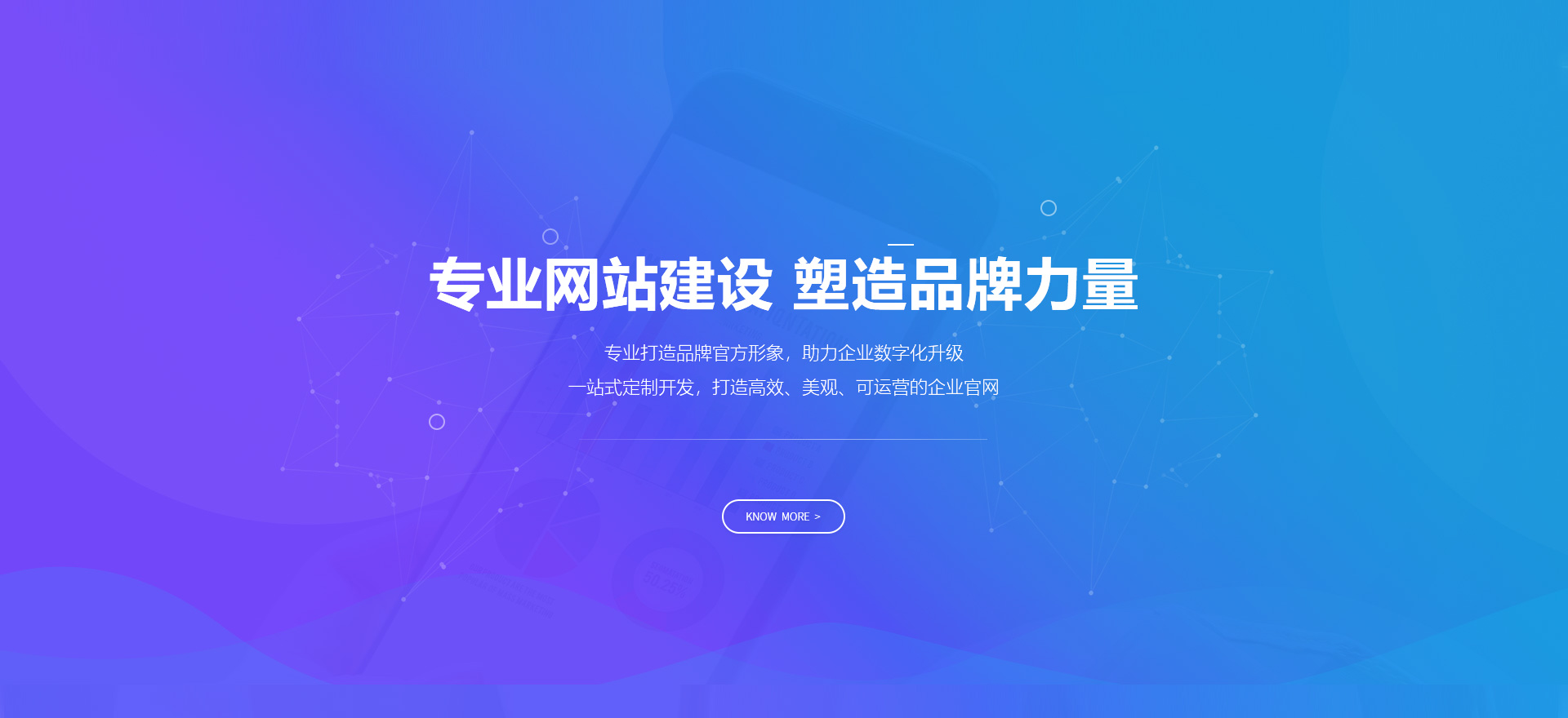 南充建站-专业网站建设 塑造品牌力量