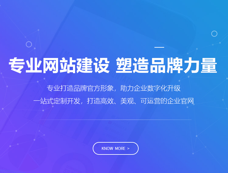 南充建站-专业网站建设 塑造品牌力量